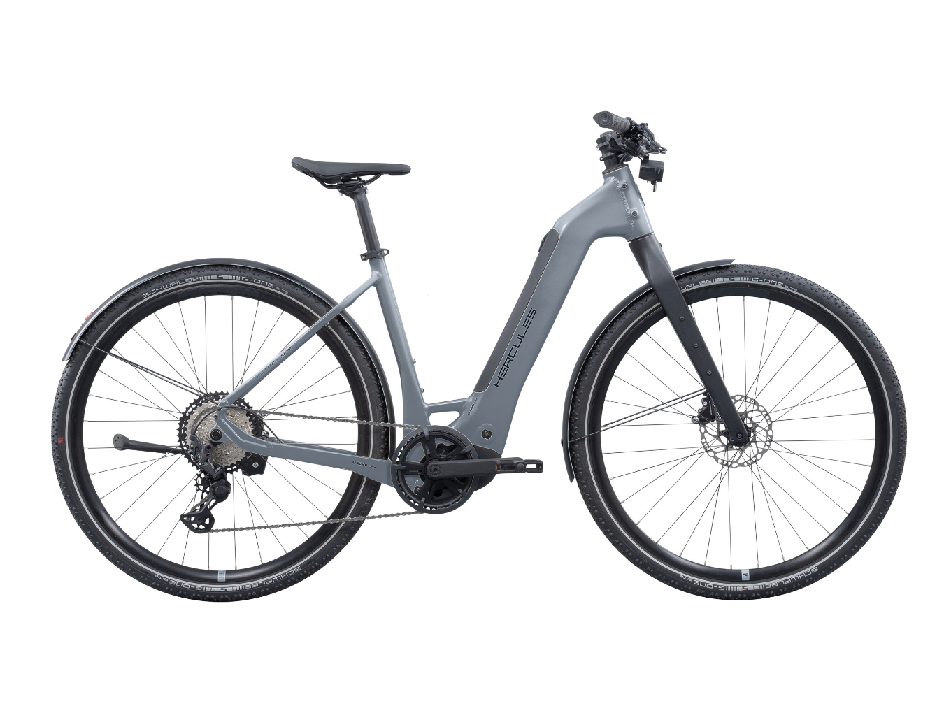 Graues Hercules Futura SL I-12 E-Bike mit dicken Reifen