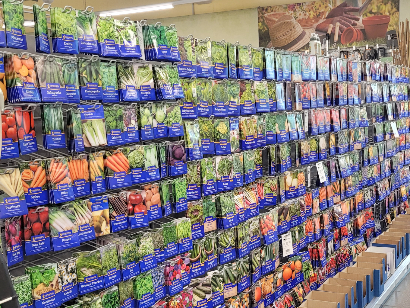 Regal mit Gemüsesamen und Saatgut im Raiffeisen-Markt.