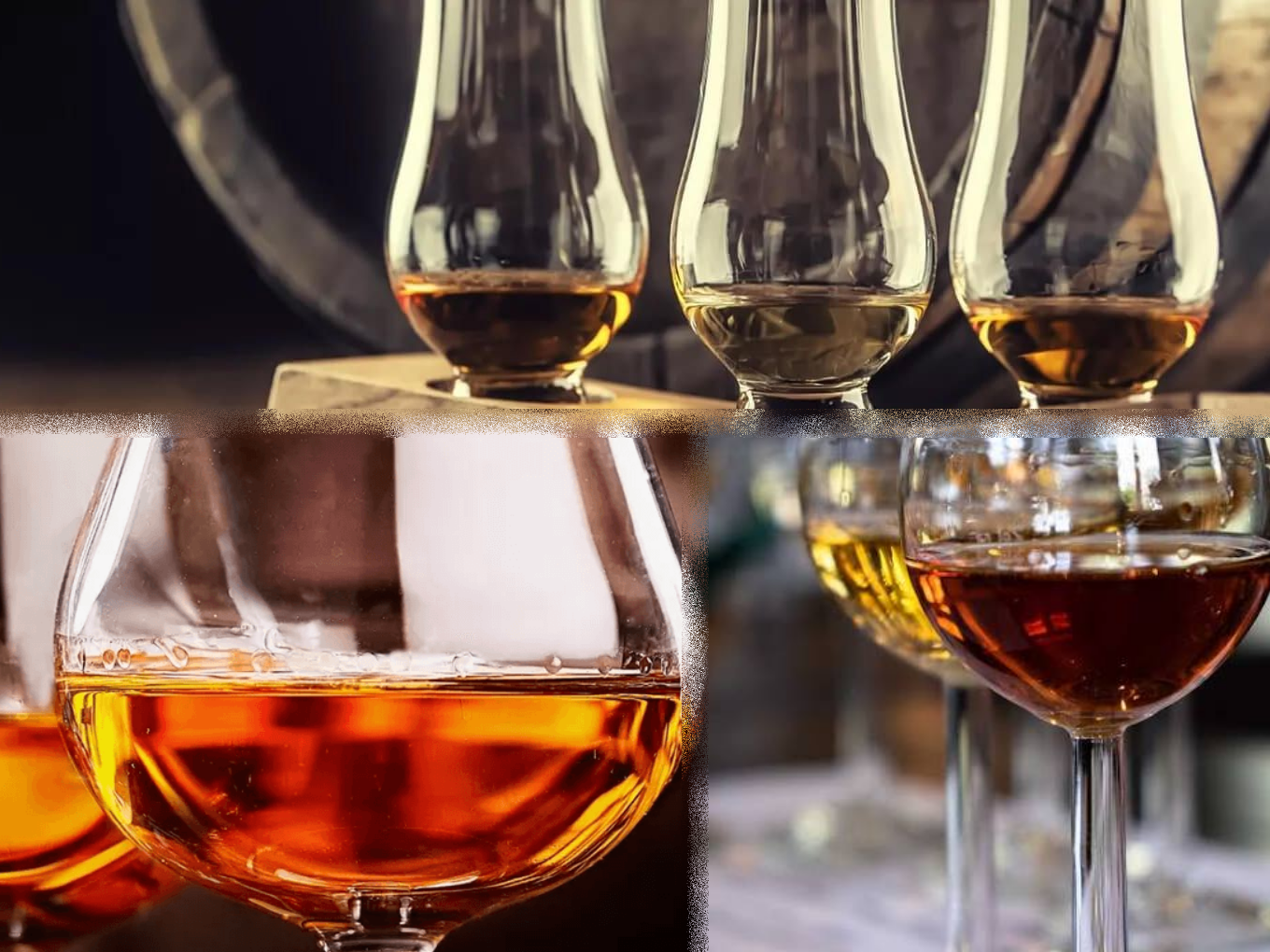 Verschiedene Gläser mit Whisky und Cognac nebeneinander.